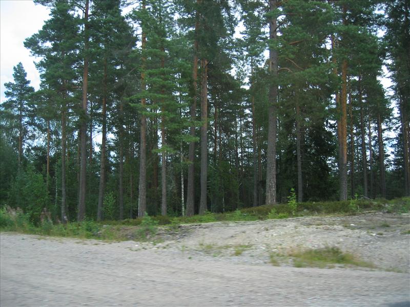 Sweden 2006-07 158